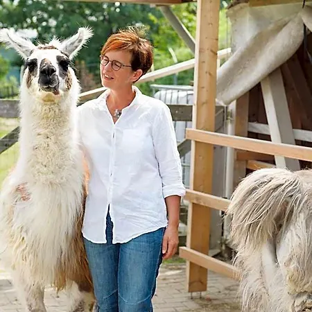 Selbstgemacht Hotel Arnsgrun