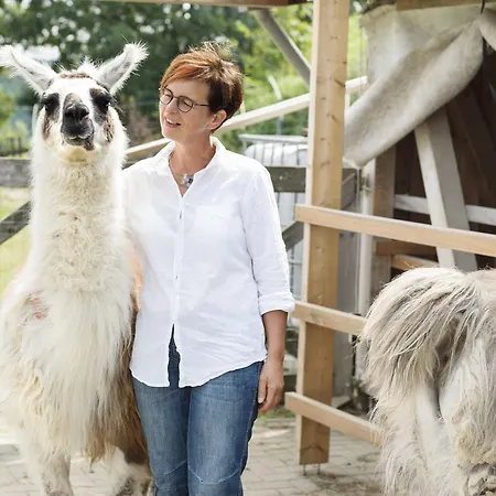 Selbstgemacht Szálloda Arnsgrün