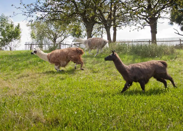 Selbstgemacht Hotel 3*