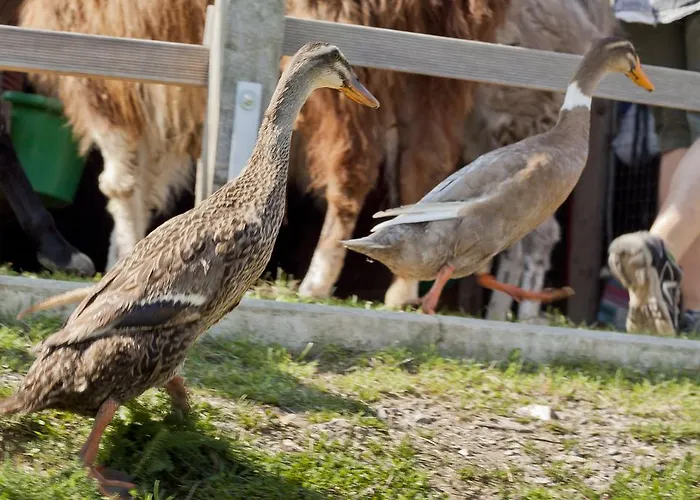 Hotel Selbstgemacht 3*